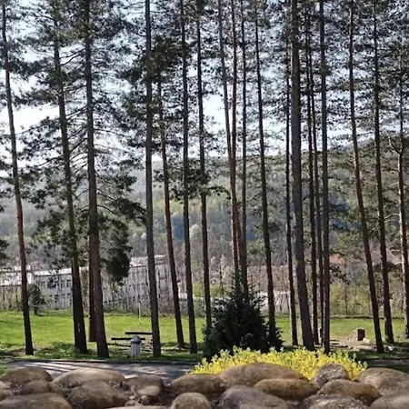 Park Panorama